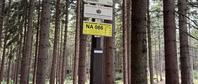 Zelený hájek, rozc.