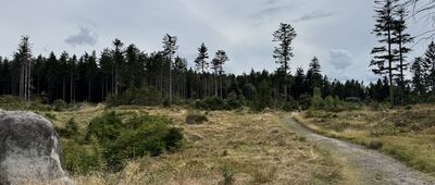 U Pánova kříže ↔ Zelený hájek, rozc.