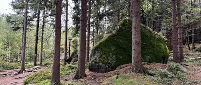 Božanovský Špičák, vyhlídkové místo