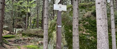 Božanovský Špičák, vyhlídkové místo