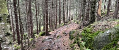 Pánův kříž, rozc. ↔ Božanovský Špičák, vyhlídkové místo