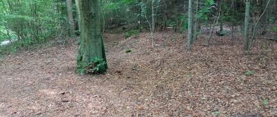 Smoleń, droga pożarowa 24