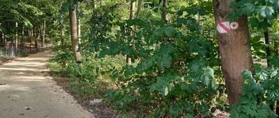 Smoleń, ośrodek Zespołu Parków Krajobrazowych Województwa Śląskiego