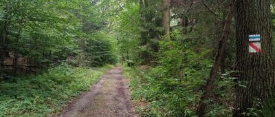 Rozejście szlaków ↔ Rozejście szlaków czerwony / niebieski