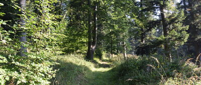 Wysoki Dział ↔ Brańcowa