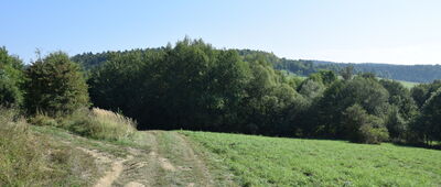 Brańcowa ↔ Przełęcz pod Barańcową