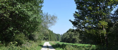 Roztoka ↔ Kwaszenina