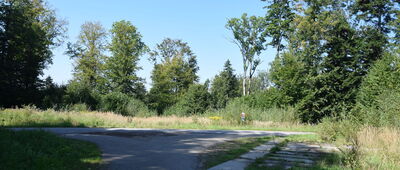 Kwaszenina ↔ Jamna