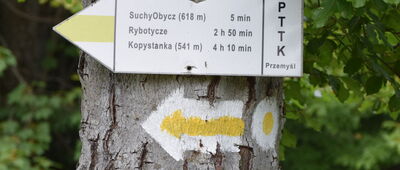 Suchy Obycz