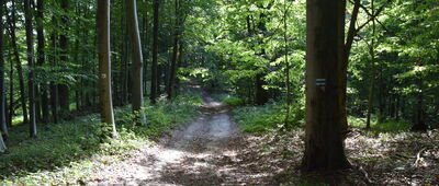 Kamienna Laworta, wyciąg ↔ Kamienna Laworta