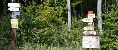 Kamienna Laworta, wyciąg