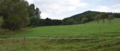 Kamienna Laworta ↔ Dźwiniacz Dolny