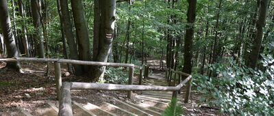 Połonina Wetlińska, odejście szlaku zielonego