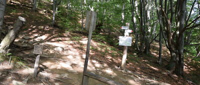 Połonina Wetlińska, odejście szlaku zielonego