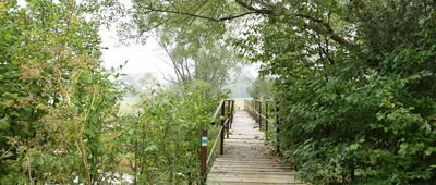 Huwniki ↔ Kalwaria Pacławska