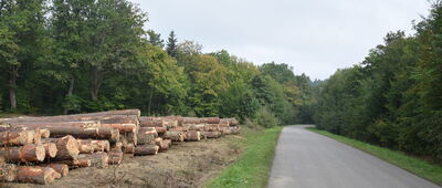 Koniusza ↔ Huwniki