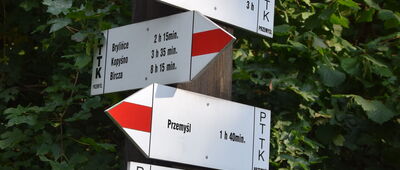 Pod Wapielnicą ↔ Wapielnica