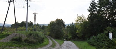 Krasiczyn ↔ Dybawka, bunkry