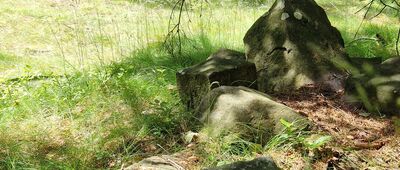 Tłoczyna [Tłoczyna 783 m. n.p.m.]