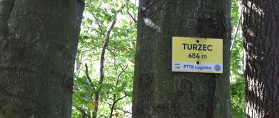 Płonina, skrzyżowanie ↔ Turzec