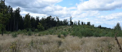 Turzec ↔ Pod Różanką