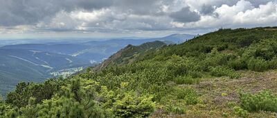 Krakonoš, odb. vyhl.