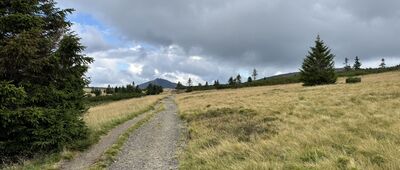 Krakonoš, odb. vyhl. ↔ U Luční Boudy