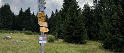 Polana w Karkonoszach