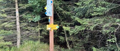 Pod Polaną w Karkonoszach