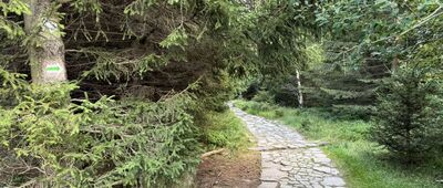 Pod Polaną w Karkonoszach