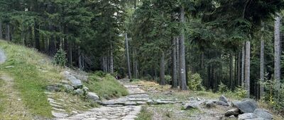 Pod Polaną w Karkonoszach ↔ Rozdroże Łomnickie