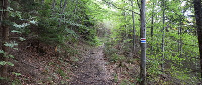 Pod Rogiem ↔ Róg, stanowisko paralotniowe