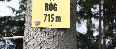 Róg, stanowisko paralotniowe ↔ Pod Drogoszem