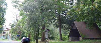 Przejście graniczne Zdoňov / Łączna