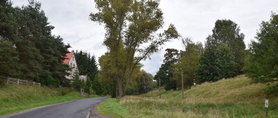 Łączna, rozejście szlaków ↔ Rajska Dolina