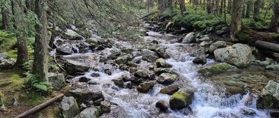 Wodogrzmoty Mickiewicza ↔ Dolina Roztoki [Kaskady na potoku Roztoka]