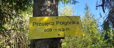 Przełęcz pod Beskidem Krzyżowskim ↔ Przełęcz Półgórska