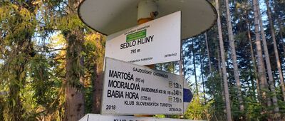 Przełęcz Glinne ↔ Beskid Korbielowski