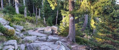 Rozdroże pod Wielkim Szyszakiem