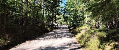 Rozdroże pod Kamieńczykiem ↔ Wysoki Most