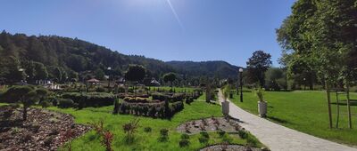 Muszyna, ul. Jana Pawła II ↔ Borysów, granica