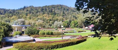 Muszyna, ul. Jana Pawła II ↔ Borysów, granica