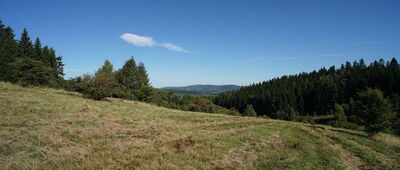 Rozdroże pod Słoneczną ↔ Świerki