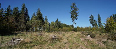 Rozdroże pod Słoneczną ↔ Łąka Strzelecka