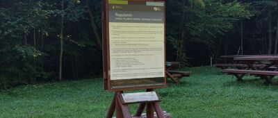 Żydowskie, polana śródleśna [Start - Koniec! Ścieżka przyordnicza.]