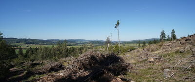 Rozdroże nad Świerkami ↔ Rozdroże pod Włodzicką Górą