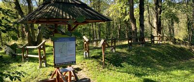 Żydowskie, cmentarz łemkowski [Cmentarz w Żydowskie]