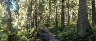 Polana Pod Vysokou ↔ Bielovodská poľana