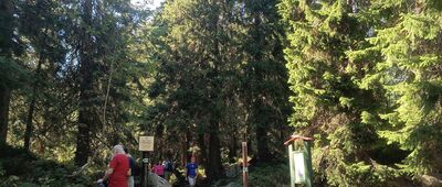 Rázcestie nad Popradským plesom