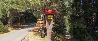 Odbočka Zimnej cesty na Štrbské Pleso